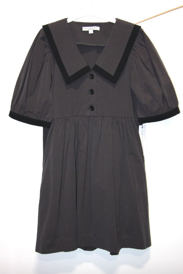 Birds of North America Fulvetta Dress