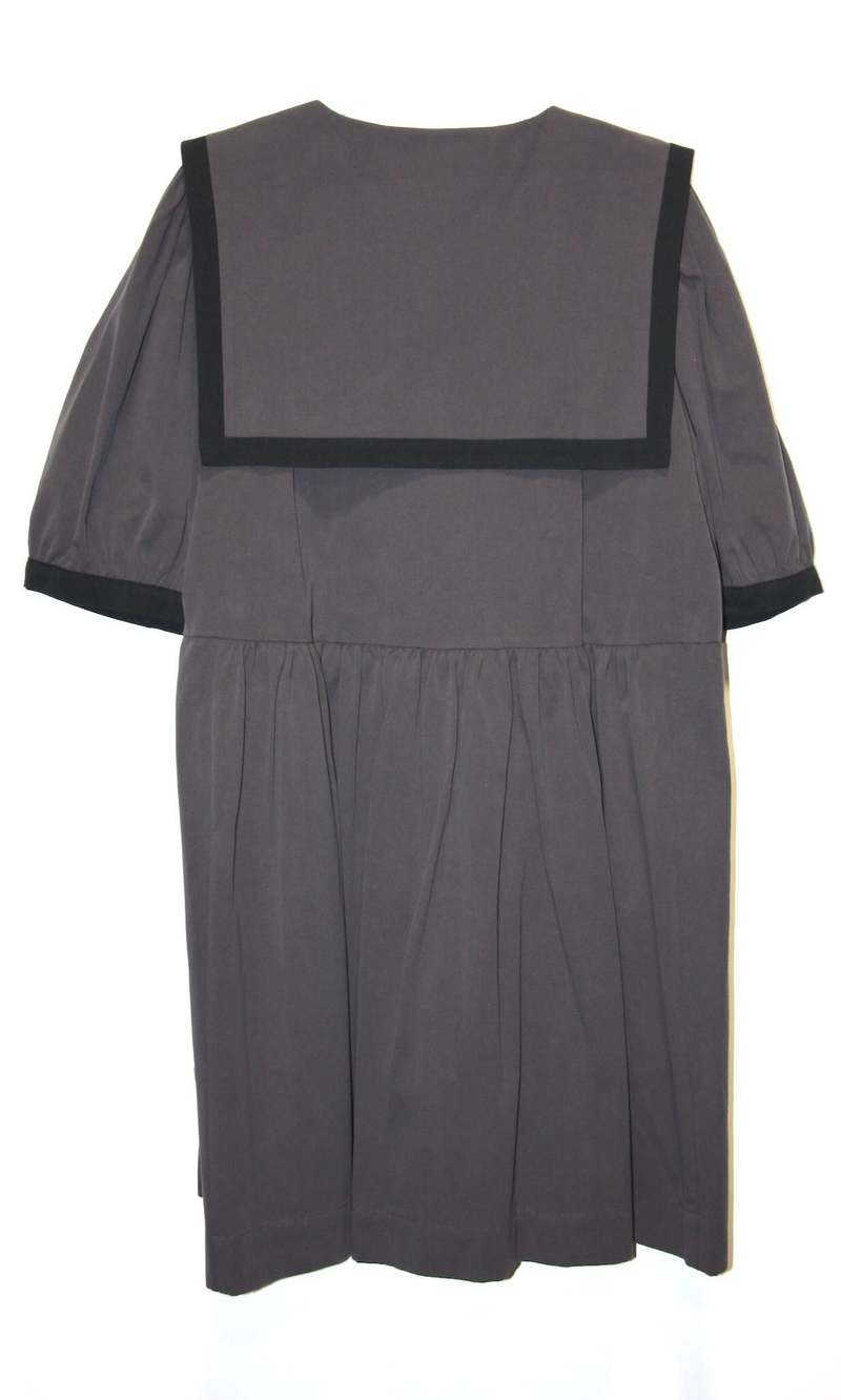 Birds of North America Fulvetta Dress