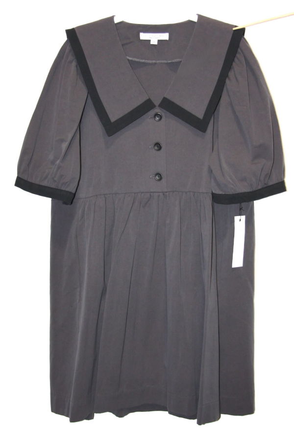 Birds of North America Fulvetta Dress