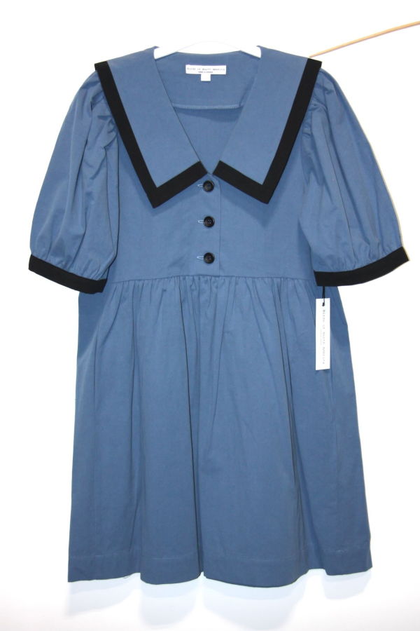 Birds of North America Fulvetta Dress