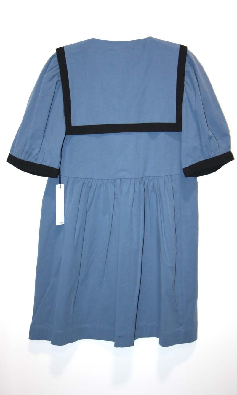 Birds of North America Fulvetta Dress