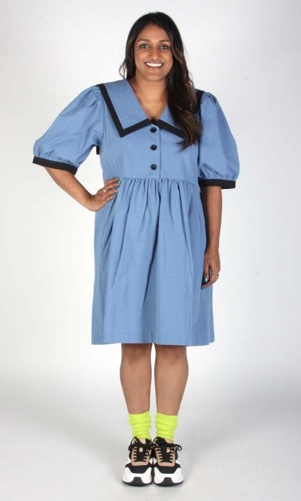 Birds of North America Fulvetta Dress