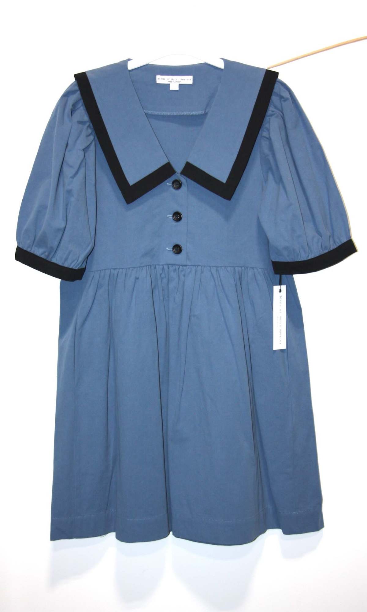 Birds of North America Fulvetta Dress - Image 1 of 11