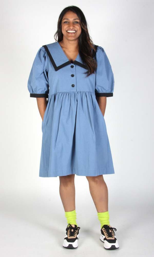 Birds of North America Fulvetta Dress