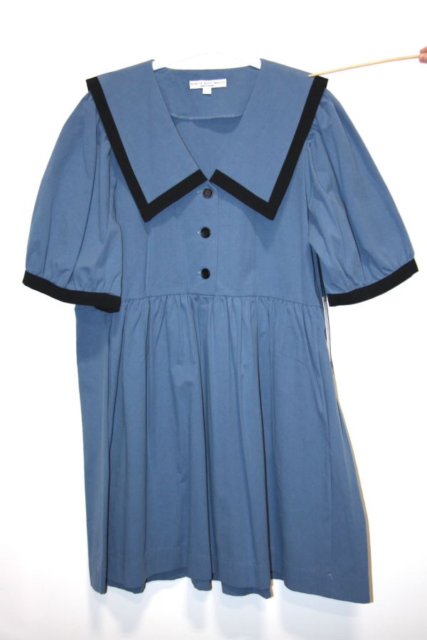 Birds of North America SS764 Fulvetta Dress