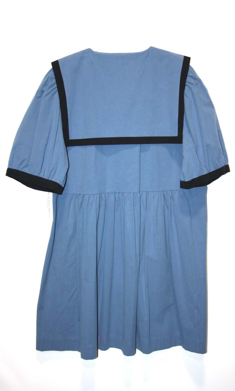 Birds of North America SS764 Fulvetta Dress