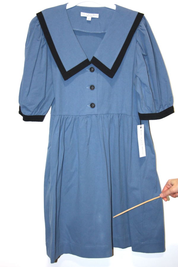 Birds of North America Fulvetta Dress