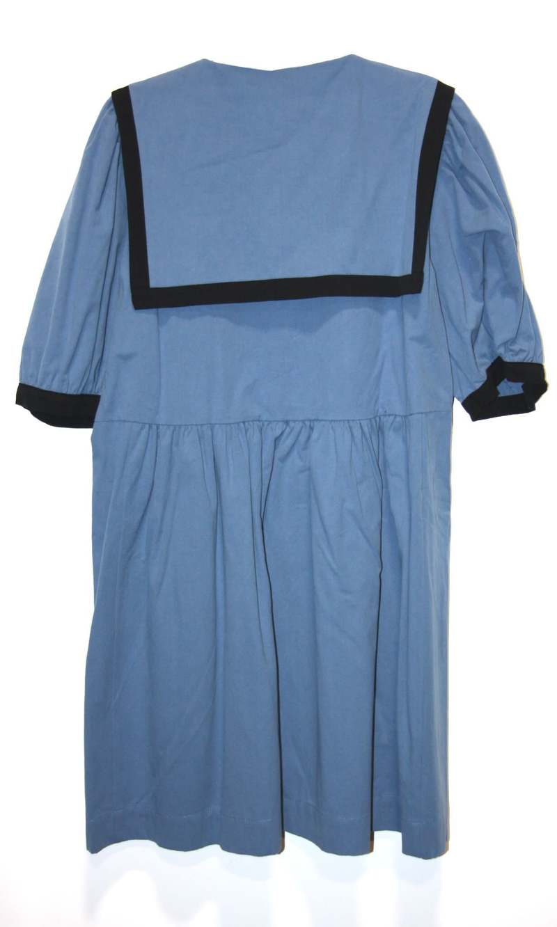 Birds of North America Fulvetta Dress