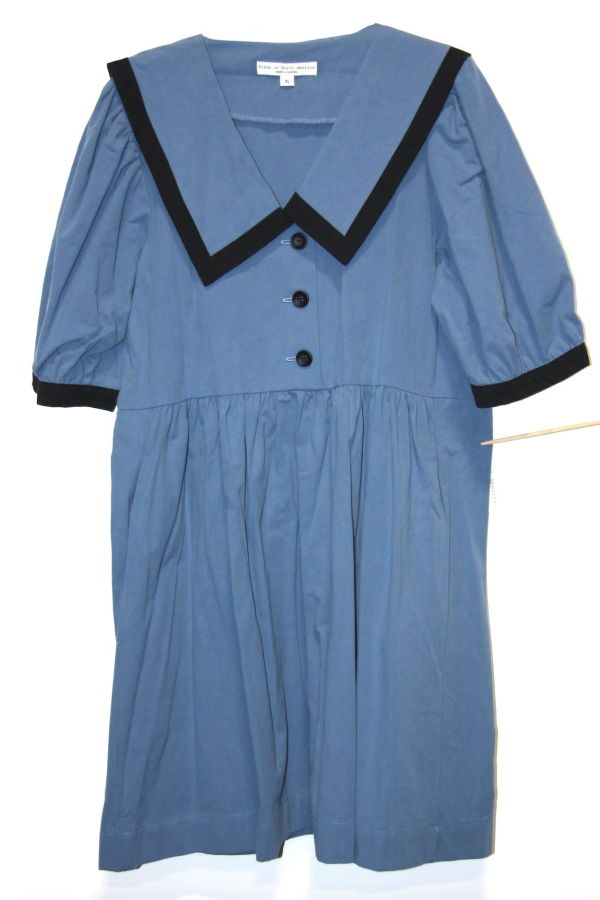 Birds of North America Fulvetta Dress