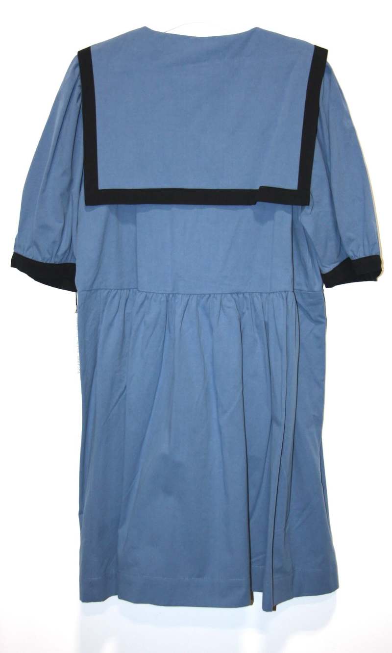 Birds of North America Fulvetta Dress