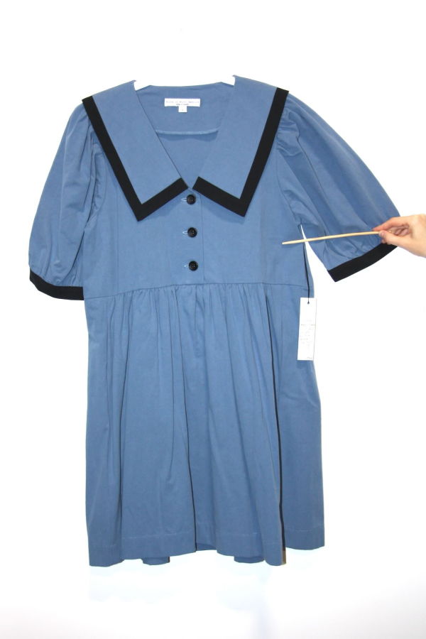 Birds of North America Fulvetta Dress