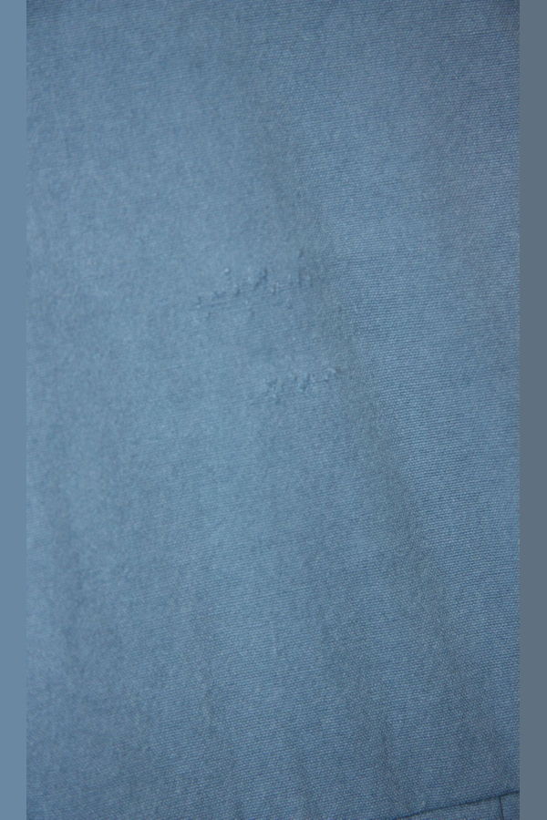 Birds of North America Fulvetta Dress