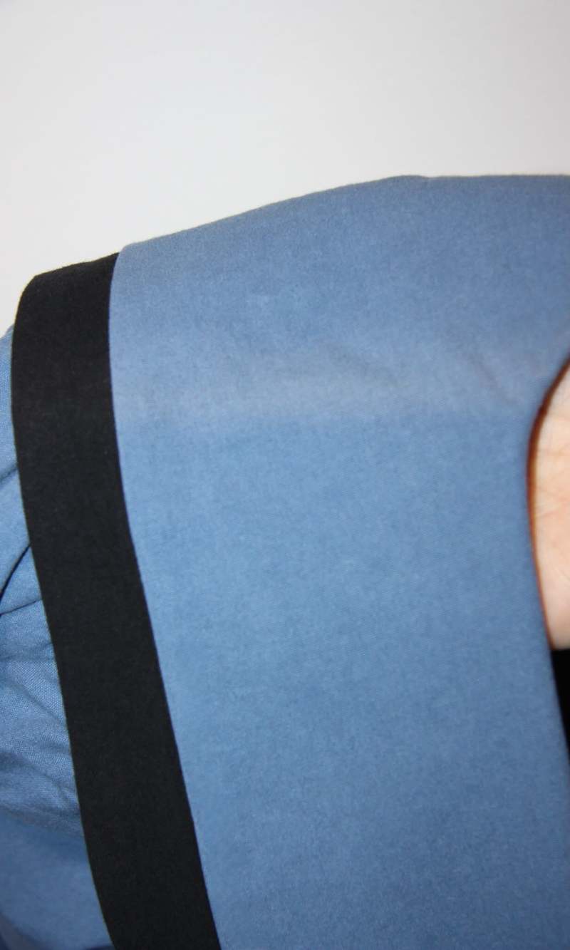 Birds of North America Fulvetta Dress