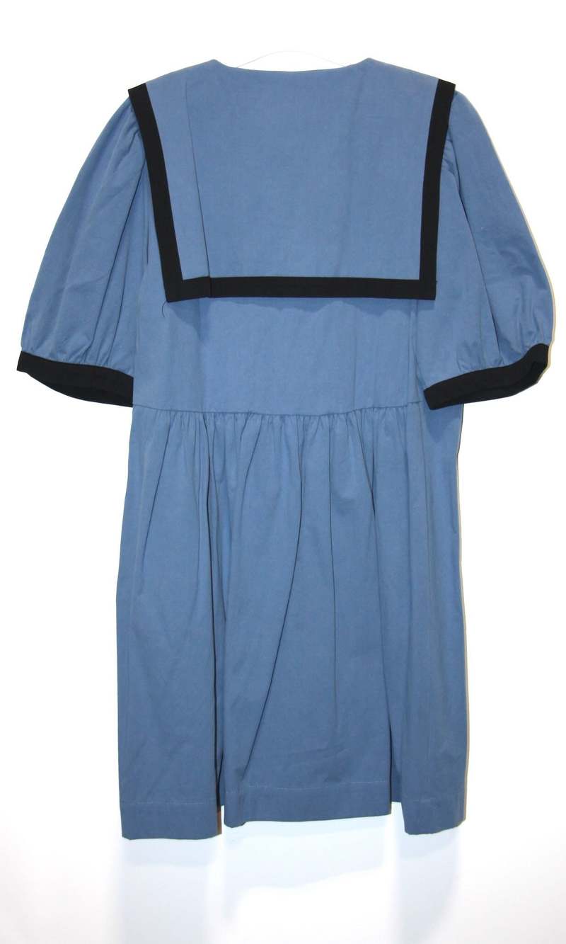 Birds of North America Fulvetta Dress