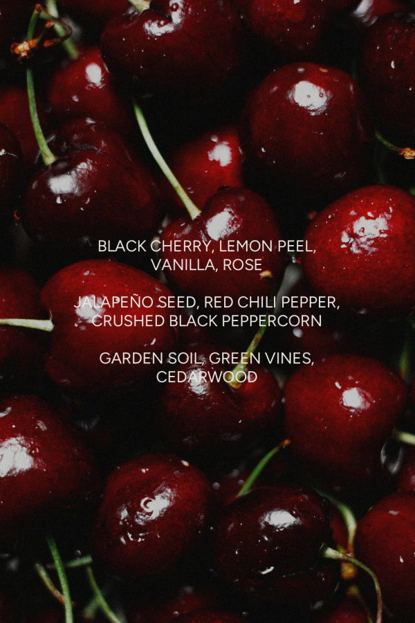 The Sensory Riot Black Cherry Chili Pepper Candle