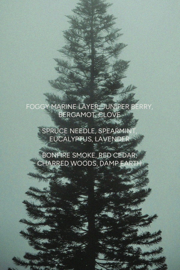 The Sensory Riot Pacific Spruce Candle