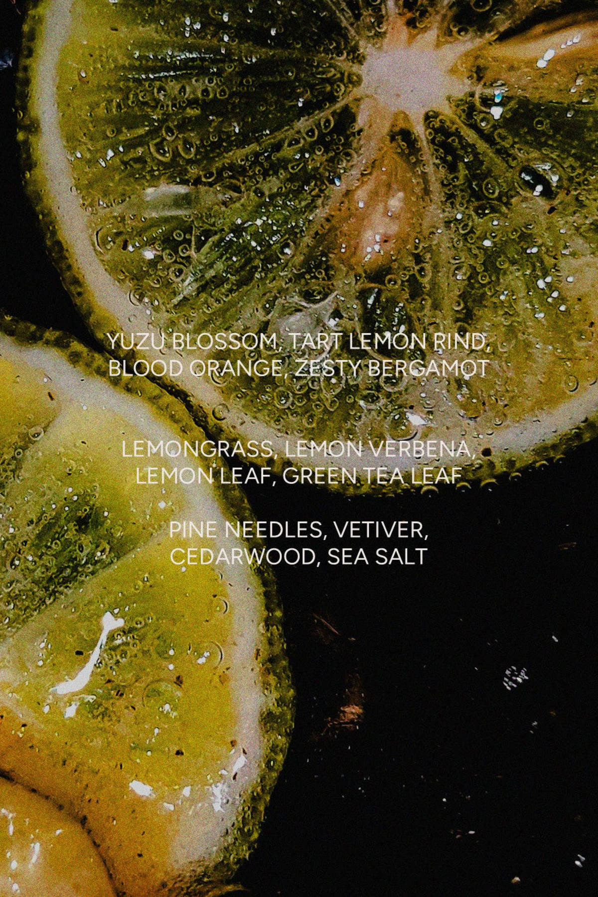 The Sensory Riot Yuzu Coast Candle - Image 2 of 2