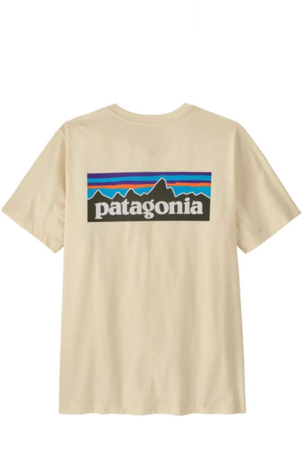 Patagonia P-6 Logo Responsibili-Tee T-Shirt