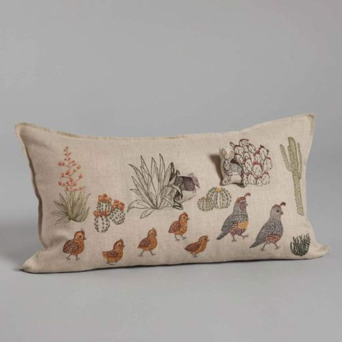 Coral & Tusk Desert Quail Crossing Pocket Pillow - Image 1 of 3