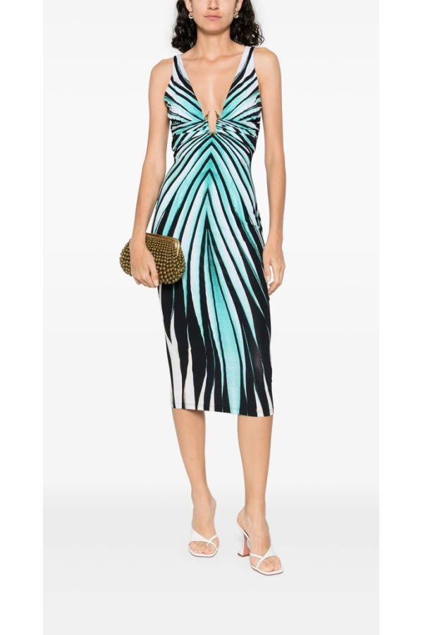 Roberto Cavalli Dress