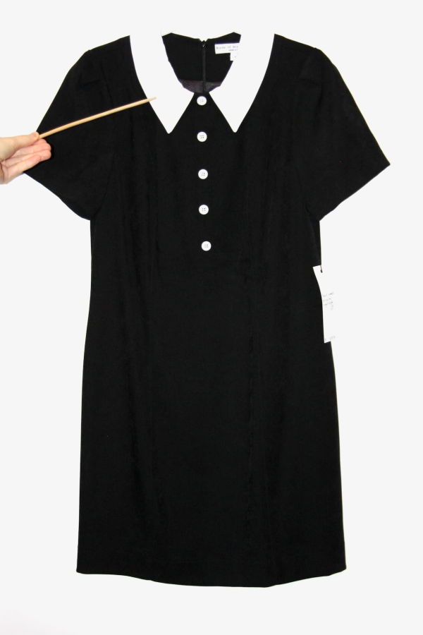 Birds of North America Peep Dress