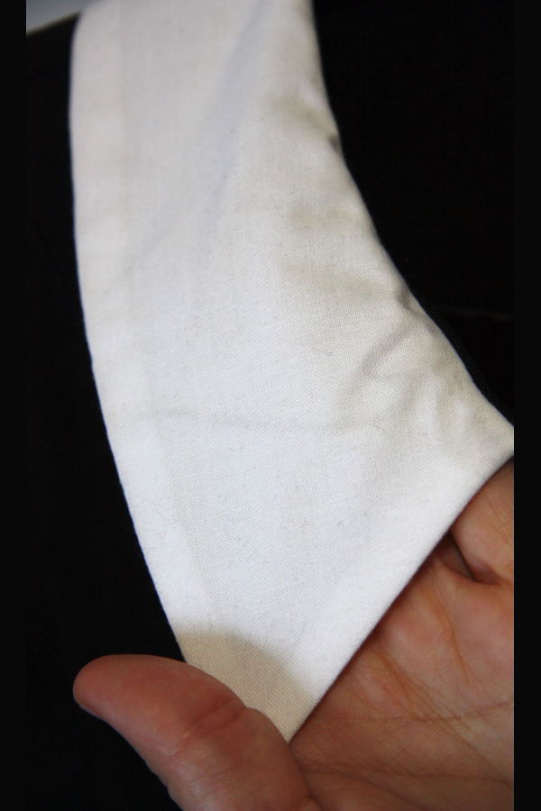 Birds of North America Peep Dress