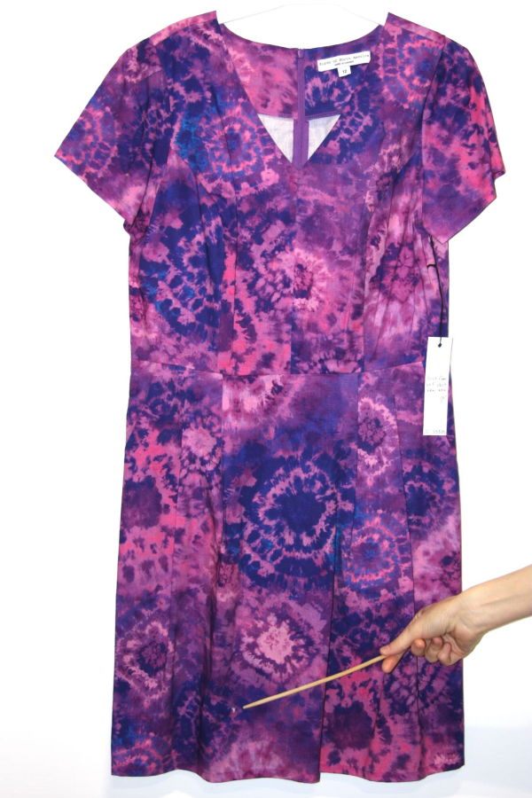 Birds of North America Fruit Dove Dress