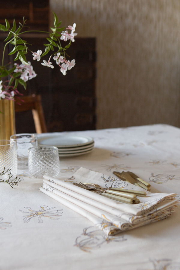 Erica Tanov Cotton Napkin Set in Stellata