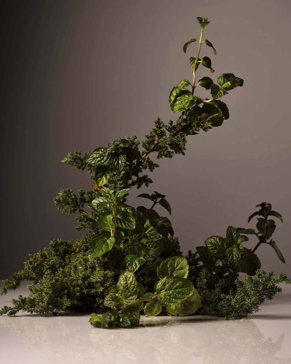 Homecourt Hand Wash Refill - Image 12 of 13