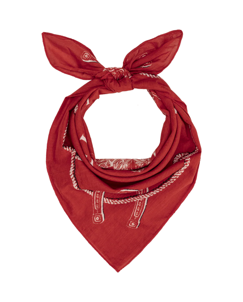 The Great. Stetson Western Bandana