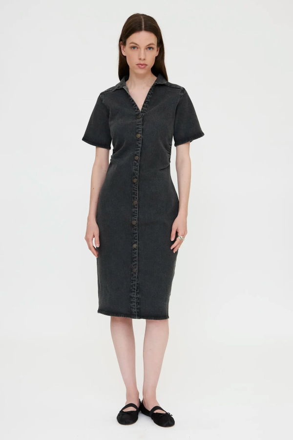 Wild Pony Fitted Denim Dress
