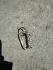 Pas Si Mal Rock Carabiner Keychain - Thumbnail 2