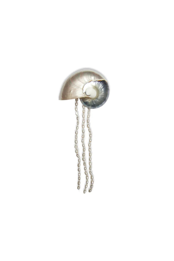 Mosquito Shell Hair Clip