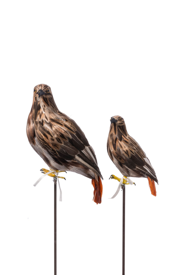 Puebco Artificial Birds / Hawk