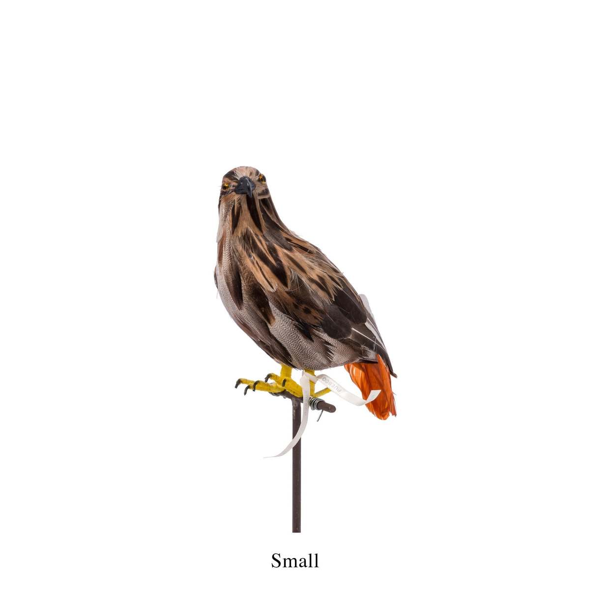 Puebco Artificial Birds / Hawk - Image 2 of 3