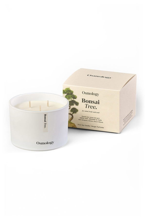 Osmology Bonsai Tree Scented Triple Wick Candle
