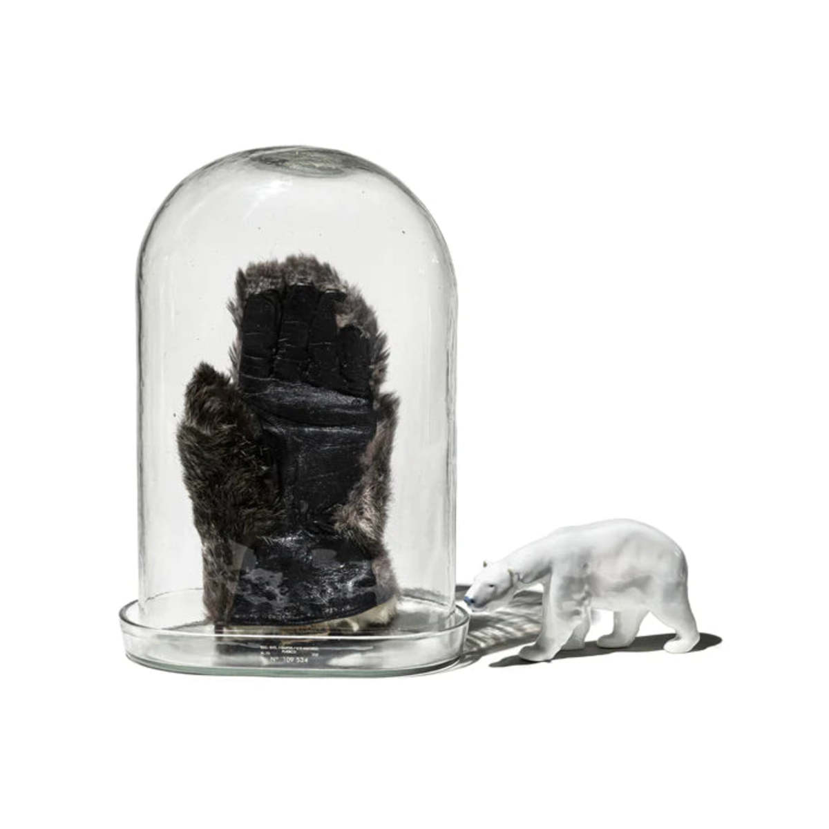 Puebco Display Glass Dome - Image 6 of 10