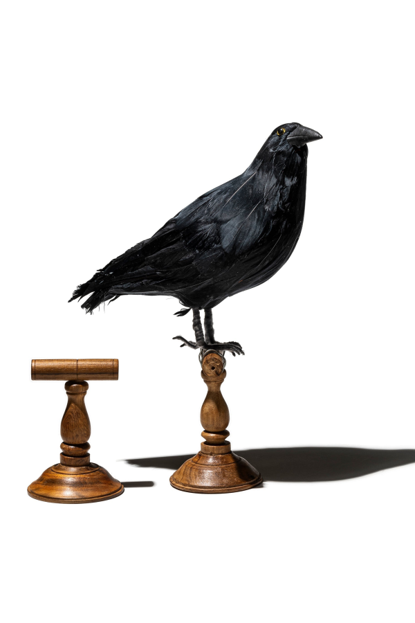 Puebco Wooden Display Stand