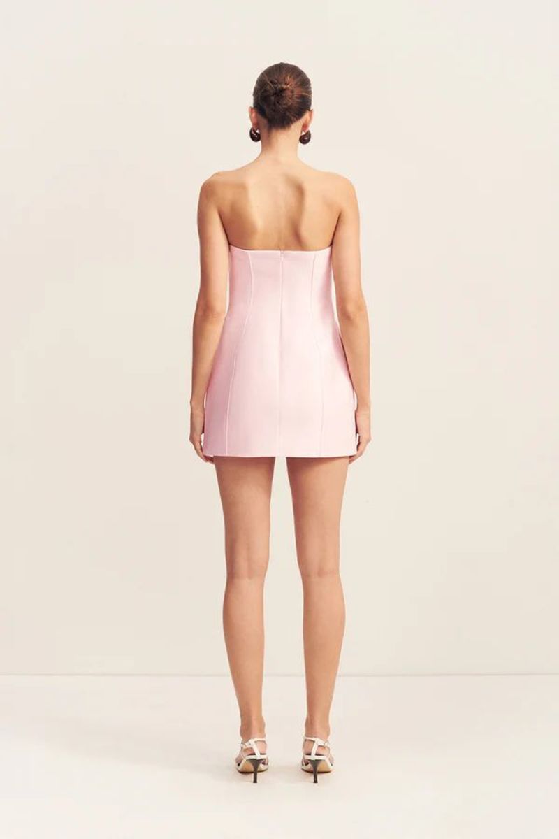 Shona Joy Otis Panelled Strapless Mini Dress - Fairyfloss