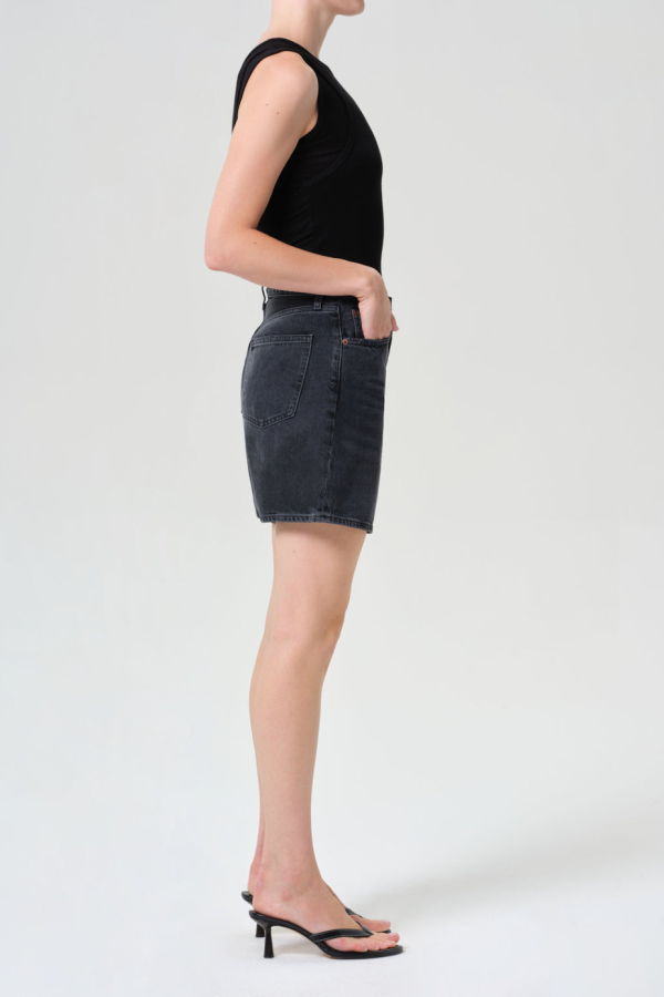 AGOLDE Dame Short in Hitch