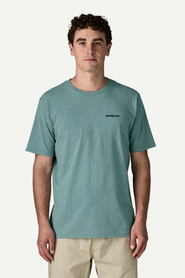 Patagonia Take a Stand Responsibili-Tee T-Shirt