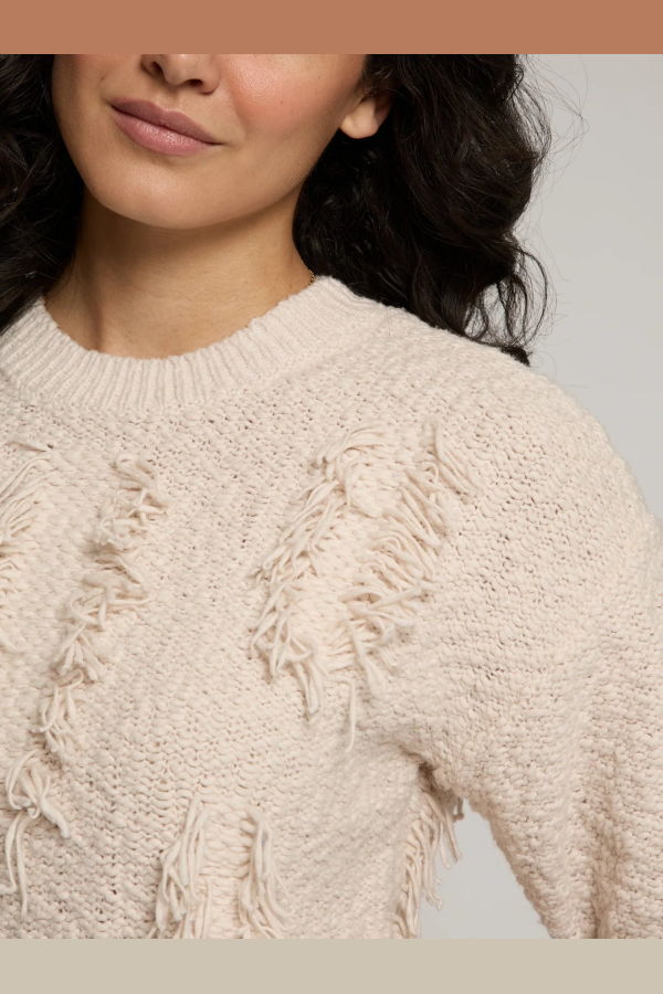 Autumn Cashmere Fringe Crew Neck Sweater