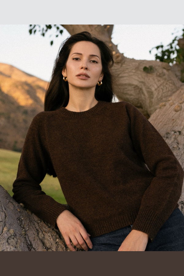 Nello June Nello Crewneck Sweater - Chocolate Brown