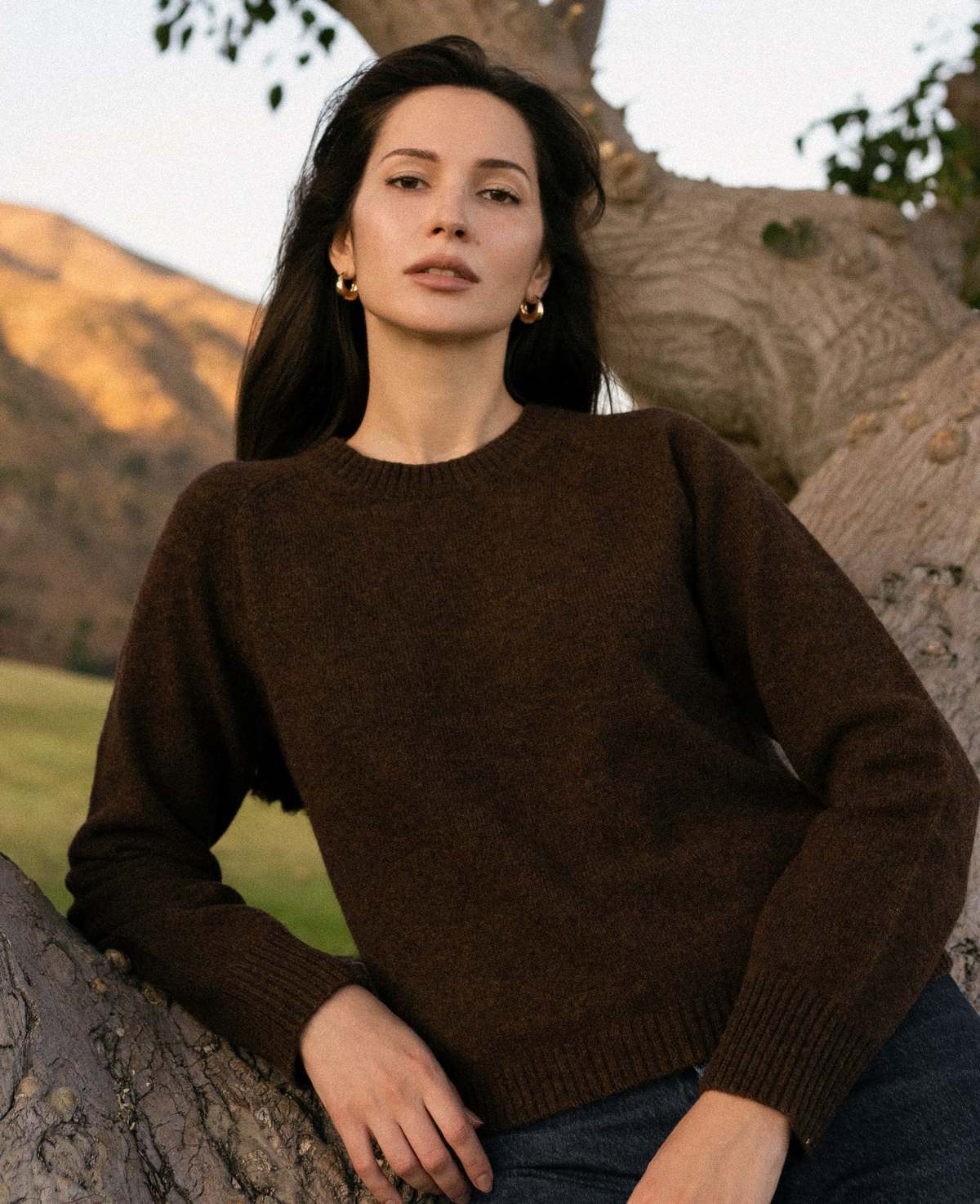 Nello June Nello Crewneck Sweater - Chocolate Brown - Image 2 of 6