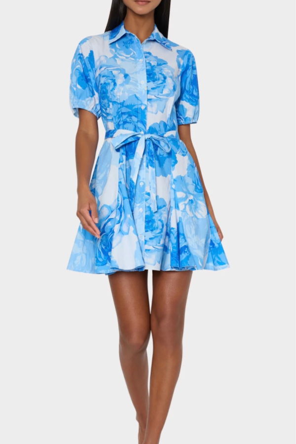 Milly Juni Mini Dress - Blue/White
