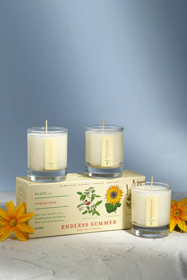 KOBO Endless Summer Plant the Box Votive Candle Trio