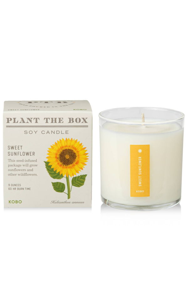 KOBO Sweet Sunflower Plant the Box Candle 9oz