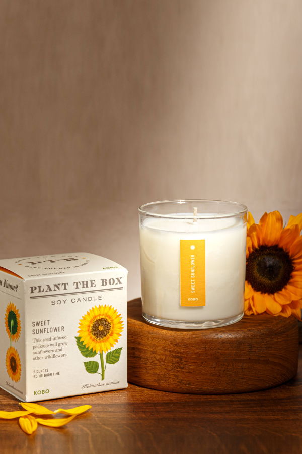 KOBO Sweet Sunflower Plant the Box Candle 9oz