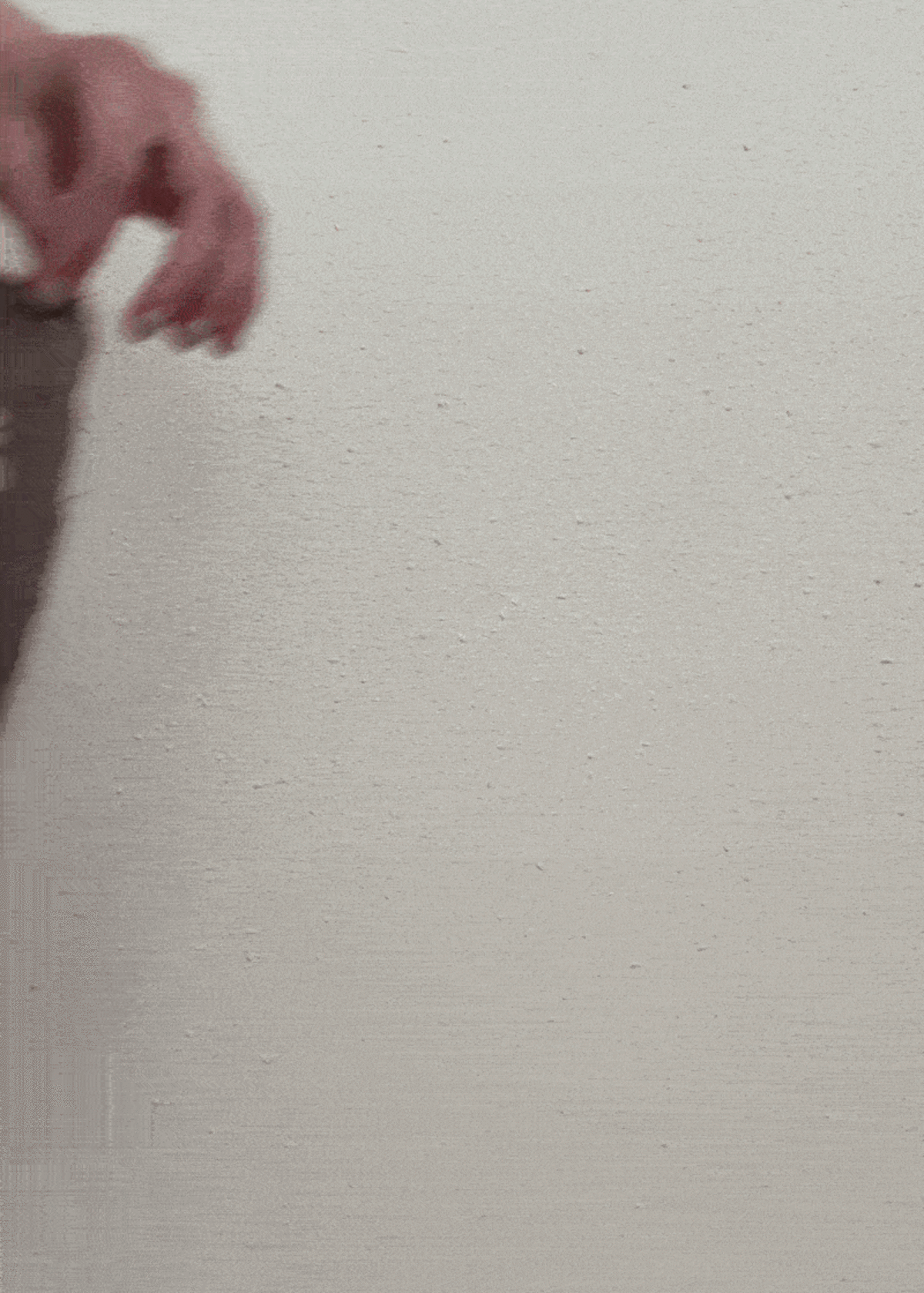 Ace & Jig Jo Midi Culottes - Botanical - Image 6 of 6