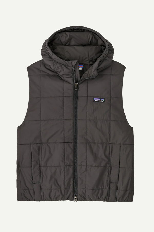 Patagonia Light Gust Hooded Vest